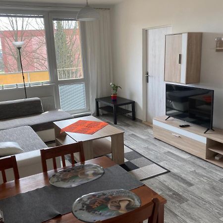 Apartmán ve Velkých Losinách Velké Losiny Esterno foto
